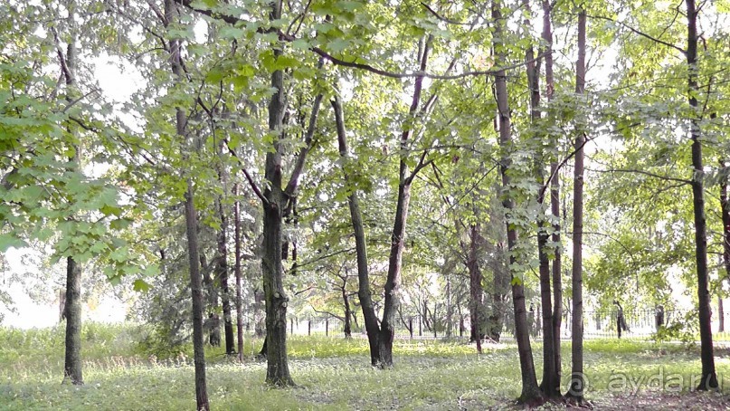  Москва - всё в этом слове! Парк Коломенское.