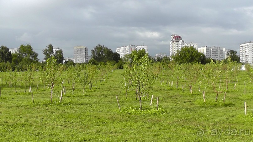  Москва - всё в этом слове! Парк Коломенское.