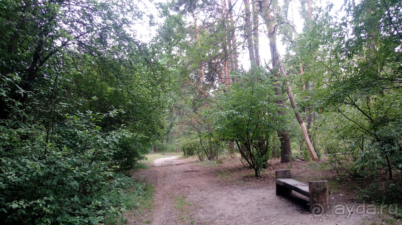 Пуща-Водица, г.Киев. «Из века в век»… трамваем проезжая. Часть I. Пуща-Водица, г.Киев. «Из века в век»… трамваем проезжая. Часть I.