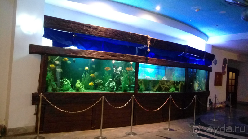 г.Киев, Киевский кукольный театр – сказка наяву.