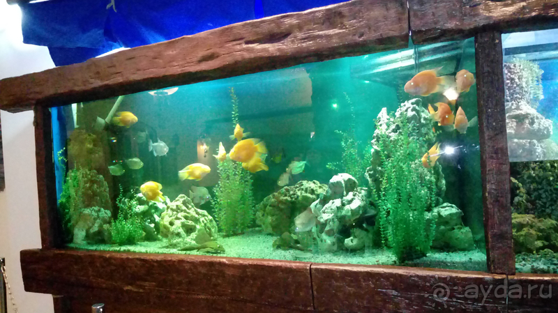 г.Киев, Киевский кукольный театр – сказка наяву.