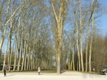 Париж, Версаль. Дворец-ларец и парк-кладенец. 