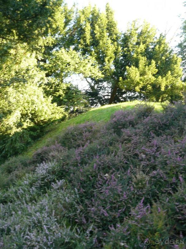 Париж, Версаль. Дворец-ларец и парк-кладенец. 