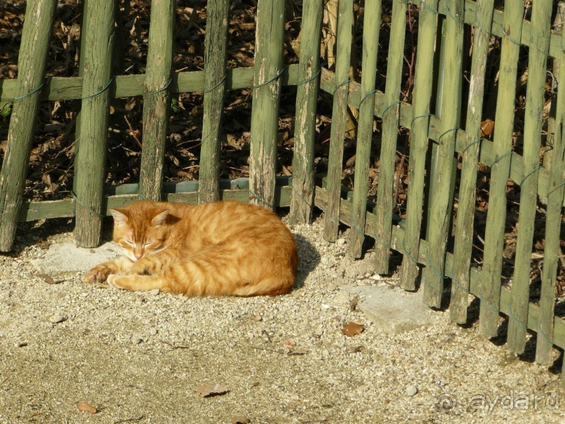 Париж, Версаль. Дворец-ларец и парк-кладенец. 