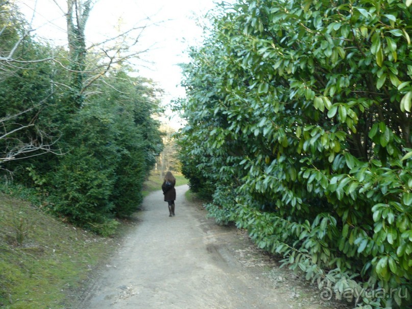 Париж, Версаль. Дворец-ларец и парк-кладенец. 