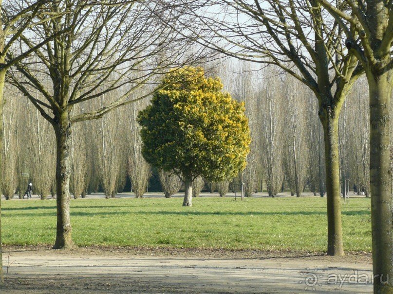 Париж, Версаль. Дворец-ларец и парк-кладенец. 