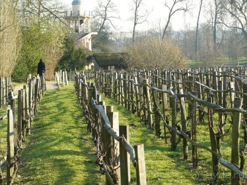 Париж, Версаль. Дворец-ларец и парк-кладенец. 