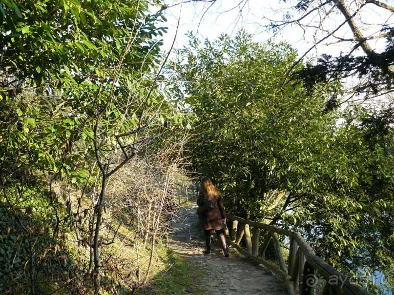 Париж, Версаль. Дворец-ларец и парк-кладенец. 