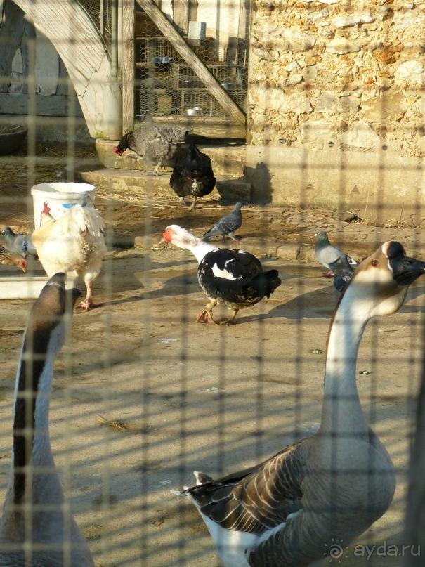 Париж, Версаль. Дворец-ларец и парк-кладенец. 