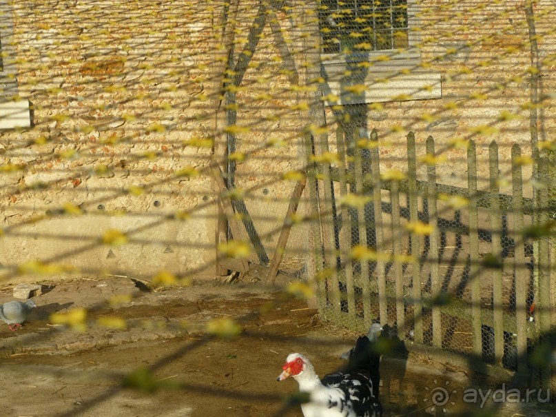 Париж, Версаль. Дворец-ларец и парк-кладенец. 