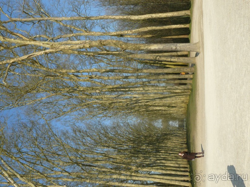 Париж, Версаль. Дворец-ларец и парк-кладенец. 