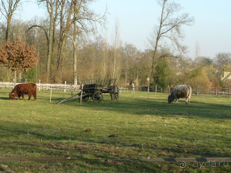 Париж, Версаль. Дворец-ларец и парк-кладенец. 