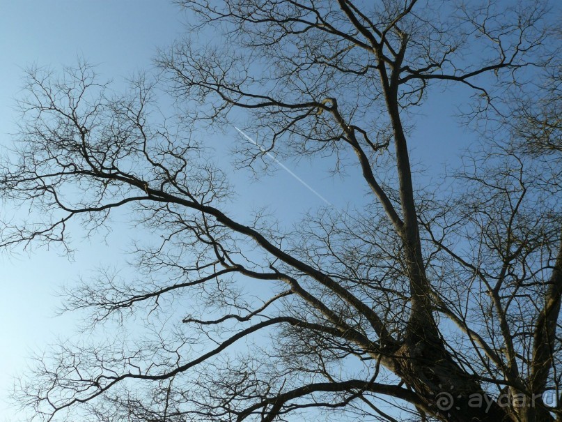 Париж, Версаль. Дворец-ларец и парк-кладенец. 