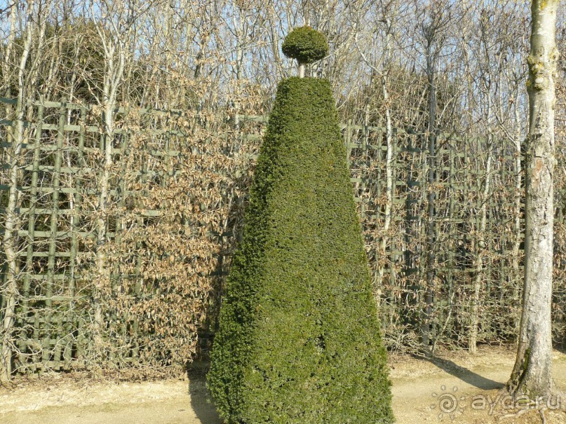 Париж, Версаль. Дворец-ларец и парк-кладенец. 