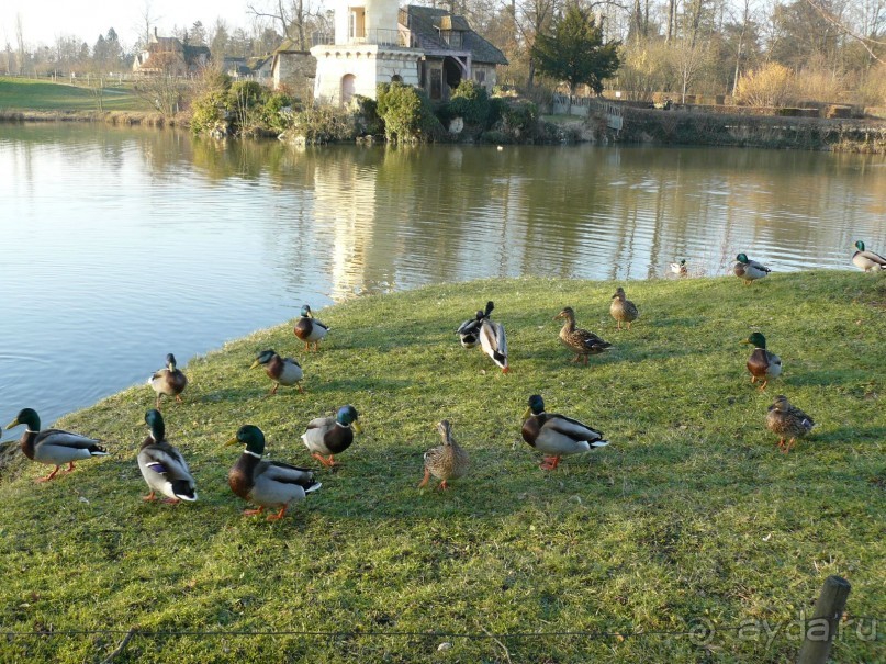 Париж, Версаль. Дворец-ларец и парк-кладенец. 