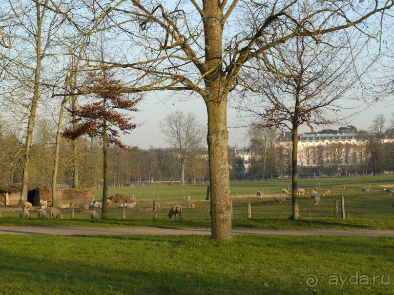 Париж, Версаль. Дворец-ларец и парк-кладенец. 