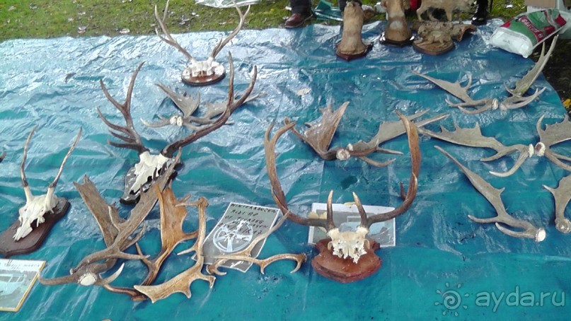 Брюгге, Бельгия. «Гулять, так гулять!». Брюгге - дождь