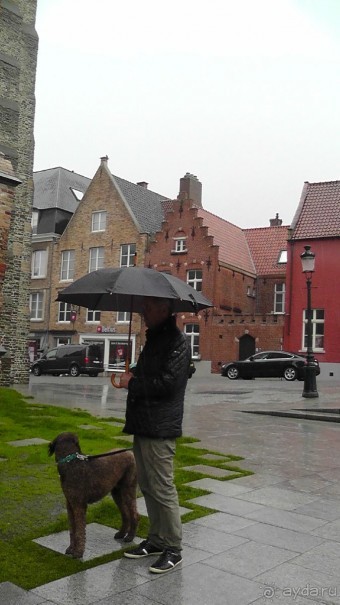 Брюгге, Бельгия. «Гулять, так гулять!». Брюгге - дождь