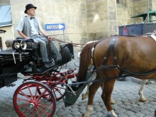 Вена, Австрия. «Вот и стало бальным залом нам Рингштрассе кольцо»!