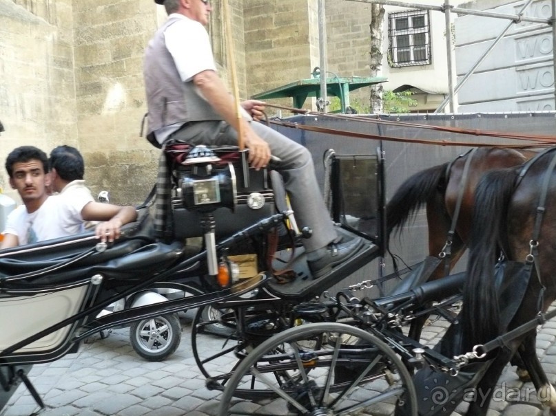 Вена, Австрия. «Вот и стало бальным залом нам Рингштрассе кольцо»!