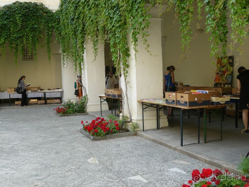 Вена, Австрия. «Вот и стало бальным залом нам Рингштрассе кольцо»!