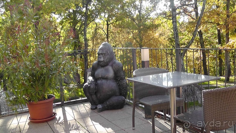 Вам надо Африку? Их есть у меня (точнее, в Венгрии)!