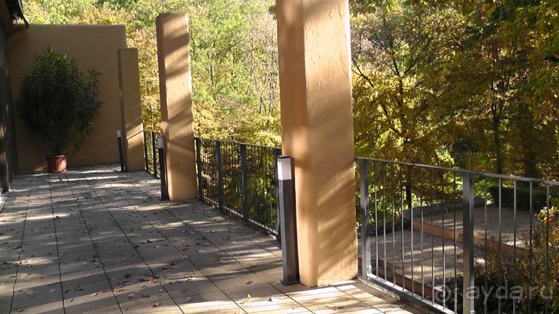 Вам надо Африку? Их есть у меня (точнее, в Венгрии)!