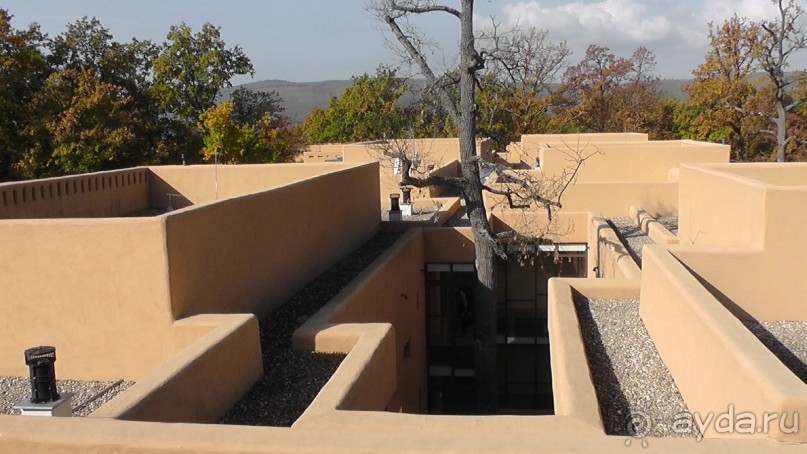 Вам надо Африку? Их есть у меня (точнее, в Венгрии)!