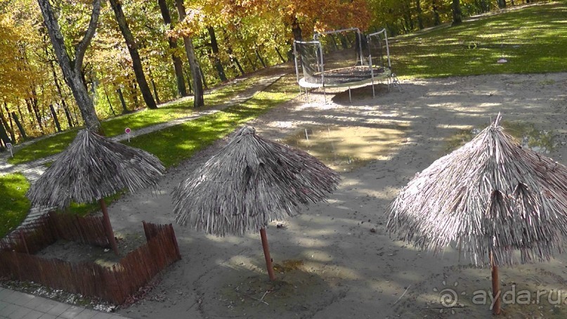 Вам надо Африку? Их есть у меня (точнее, в Венгрии)!