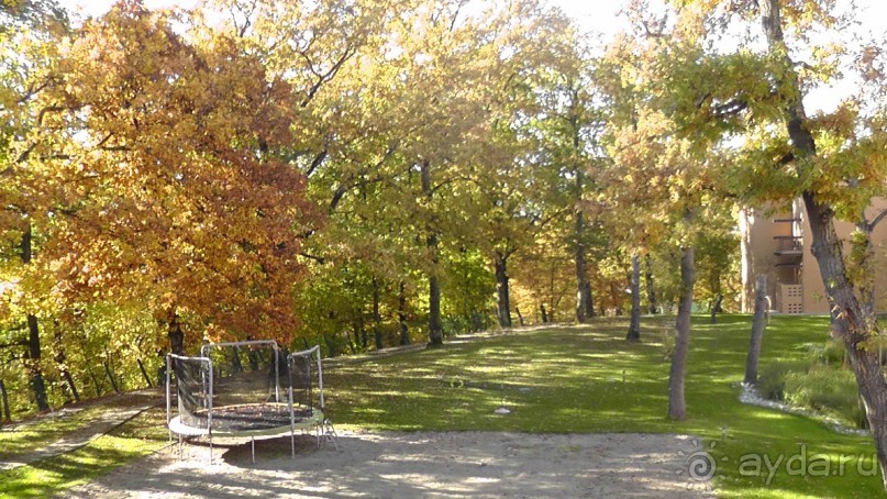 Вам надо Африку? Их есть у меня (точнее, в Венгрии)!