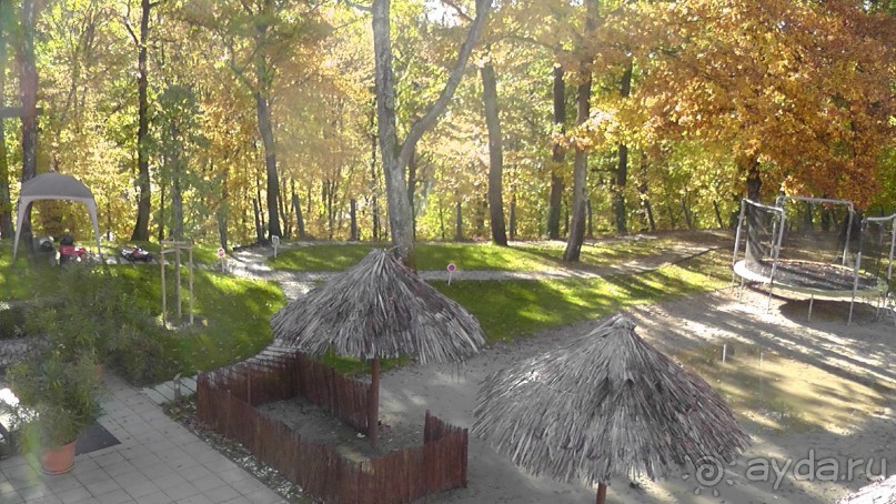 Вам надо Африку? Их есть у меня (точнее, в Венгрии)!