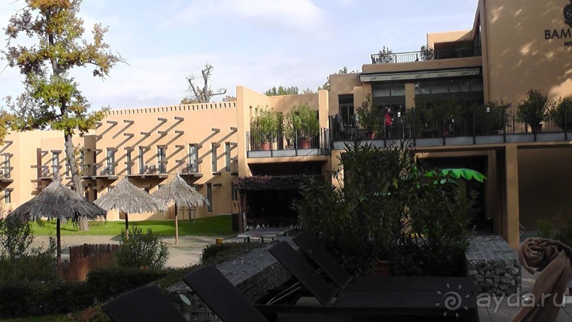 Вам надо Африку? Их есть у меня (точнее, в Венгрии)!