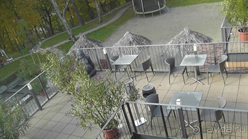 Вам надо Африку? Их есть у меня (точнее, в Венгрии)!