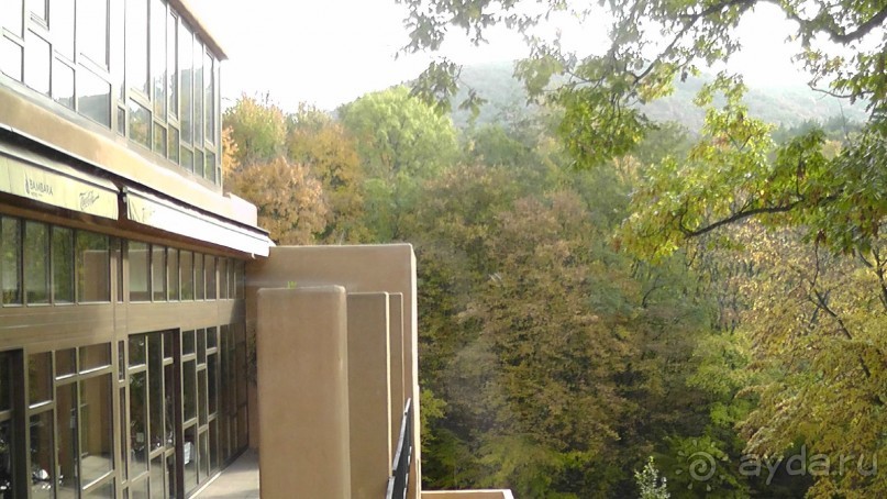 Вам надо Африку? Их есть у меня (точнее, в Венгрии)!