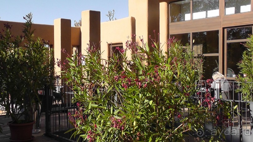 Вам надо Африку? Их есть у меня (точнее, в Венгрии)!