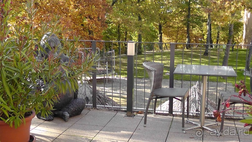 Вам надо Африку? Их есть у меня (точнее, в Венгрии)!