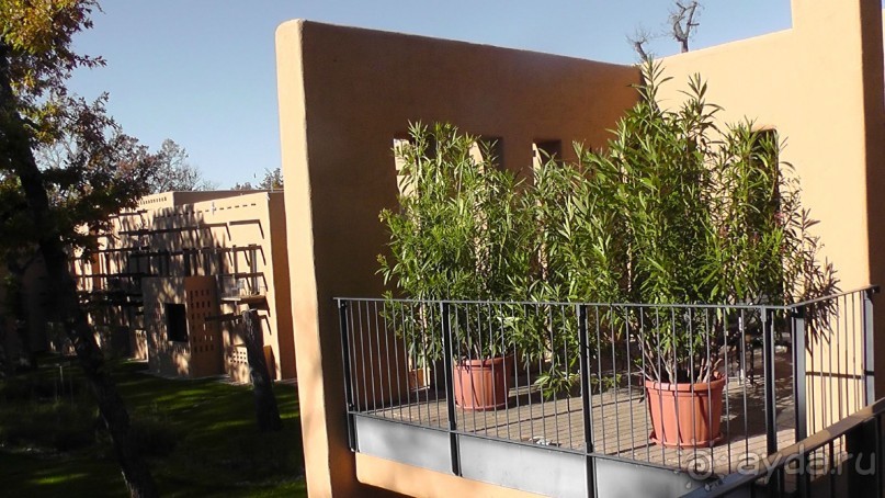 Вам надо Африку? Их есть у меня (точнее, в Венгрии)!