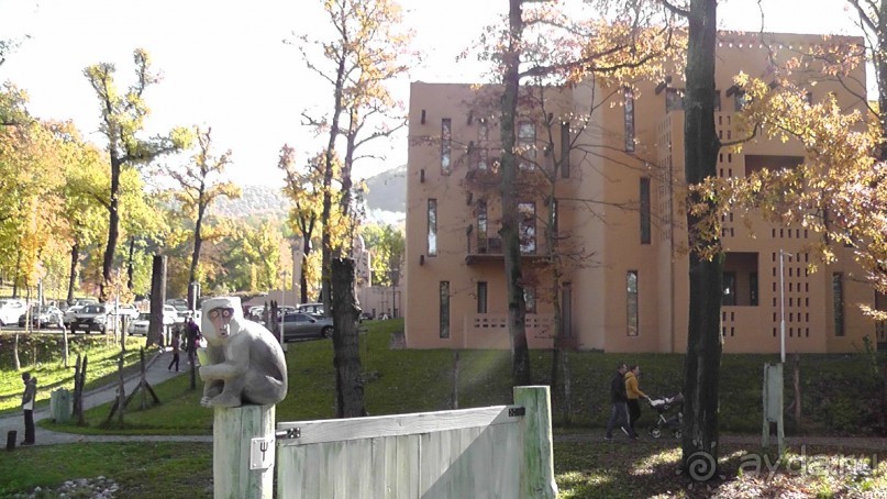 Вам надо Африку? Их есть у меня (точнее, в Венгрии)!