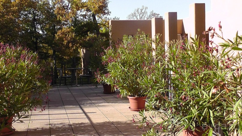 Вам надо Африку? Их есть у меня (точнее, в Венгрии)!