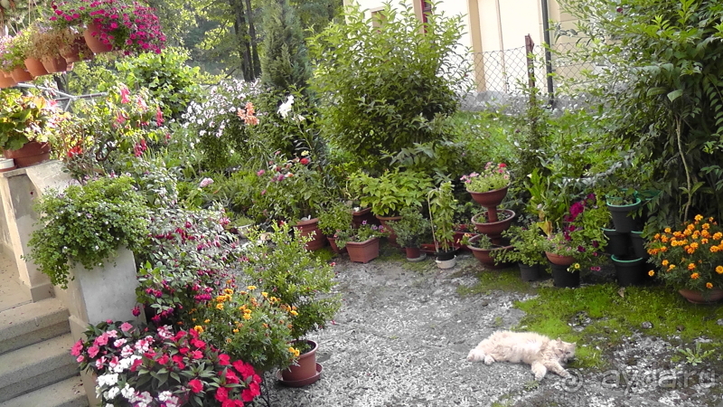 фото Sherwood Exclusive Kemer