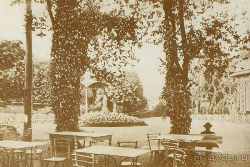 г.Киев, Городской парк – переплетение любви, спорта и музыки.