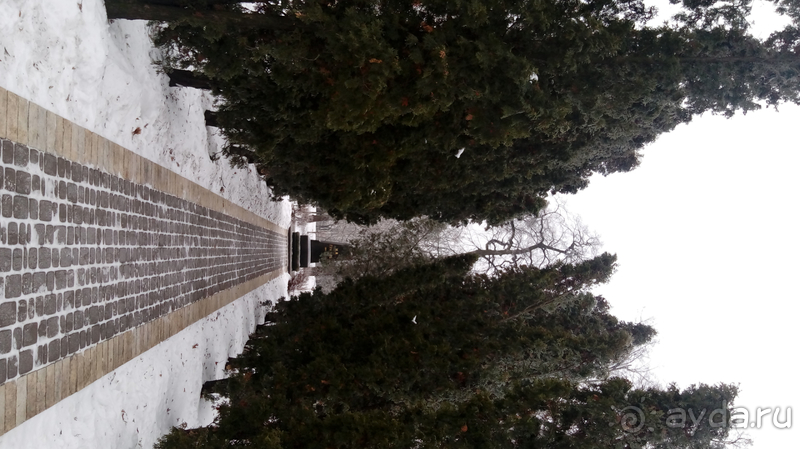 г.Киев, Городской парк – переплетение любви, спорта и музыки.