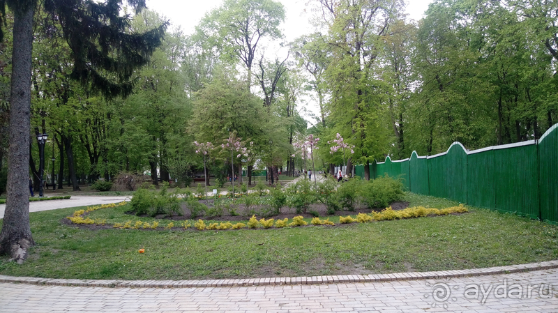 г.Киев, Городской парк – переплетение любви, спорта и музыки.