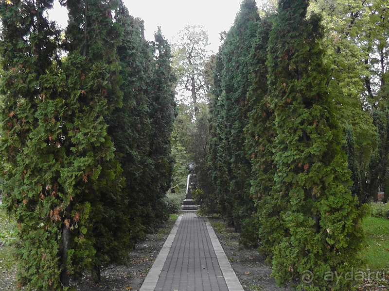 г.Киев, Городской парк – переплетение любви, спорта и музыки.