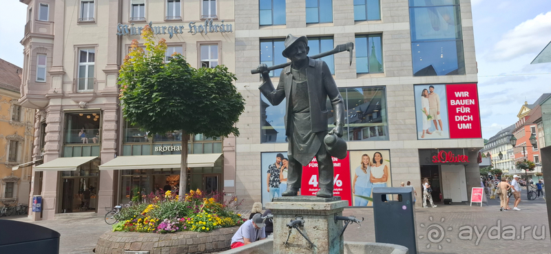 фото Мюнстера