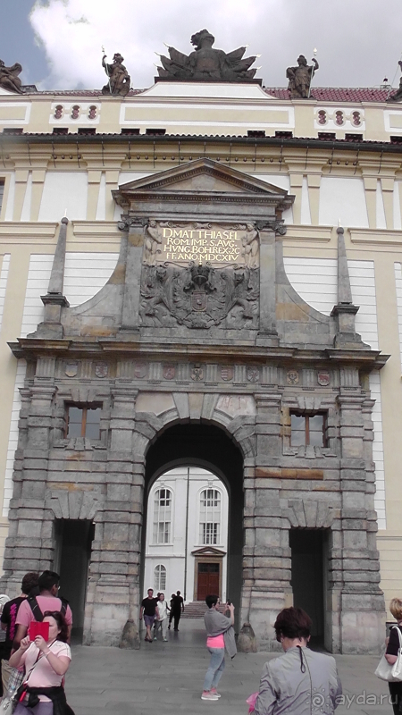 Прага, Чехия.  Лебедь под летним солнцем.