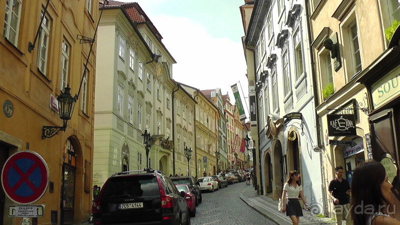 Прага, Чехия.  Лебедь под летним солнцем.