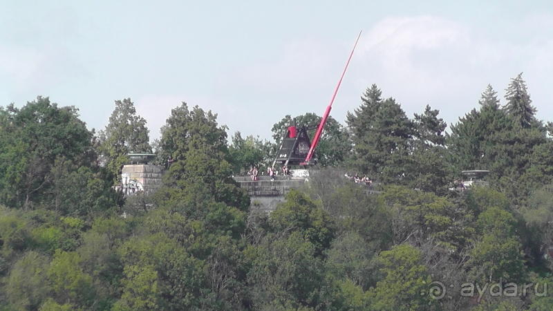 Прага, Чехия.  Лебедь под летним солнцем.