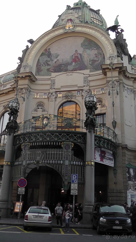 Прага, Чехия.  Лебедь под летним солнцем.