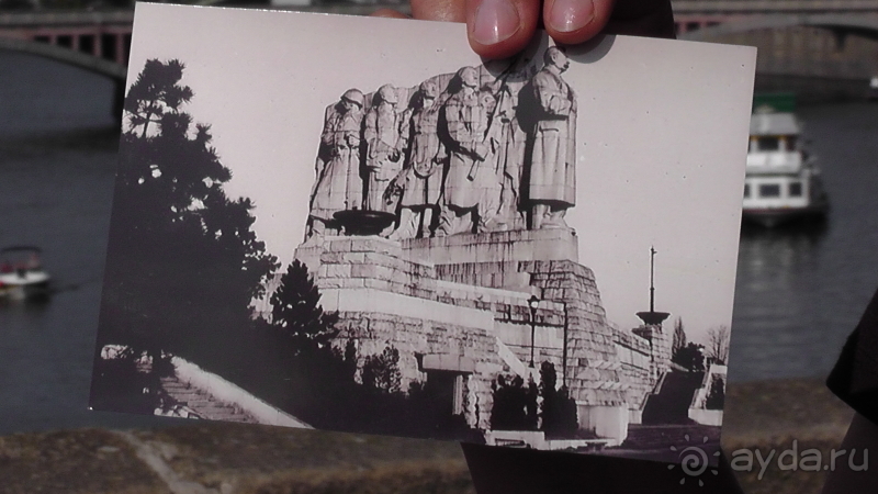 Прага, Чехия.  Лебедь под летним солнцем.